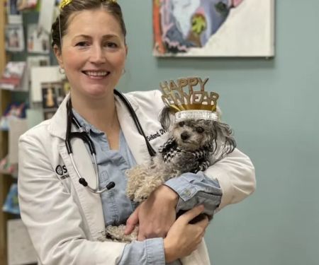 Seville Veterinary Hospital