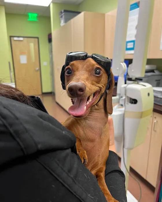 Seville Veterinary Hospital Picture 10