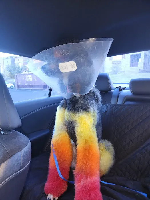 Superstition Animal Hospital Picture 9