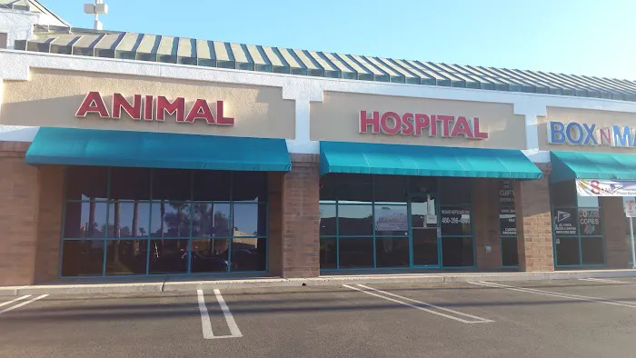 Superstition Animal Hospital Picture 4