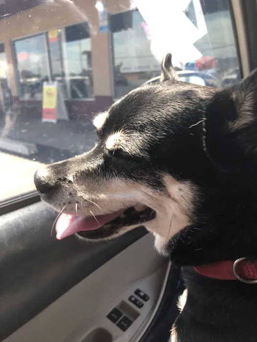 apache trail veterinary services Picture 6