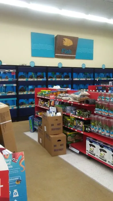 Petco Picture 7