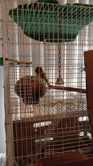 Petco Picture 3