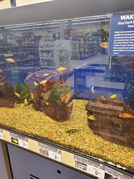 Petco Picture 2