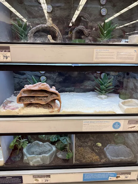 Petco Picture 5