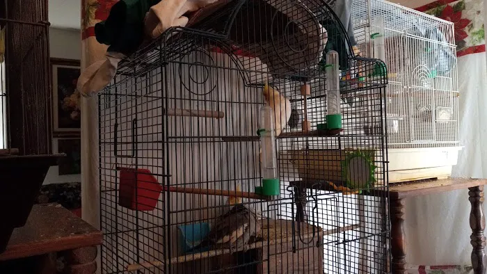 Petco Picture 6