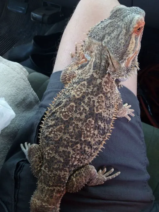 Petco Picture 8