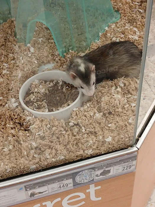 Petco Picture 10