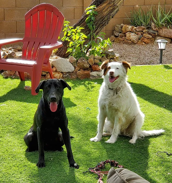 Power Road Animal Hospital Picture 10