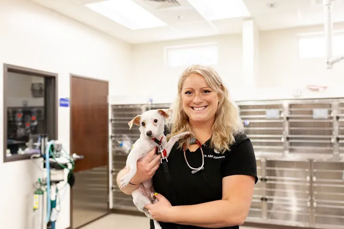 Power Road Animal Hospital Picture 3