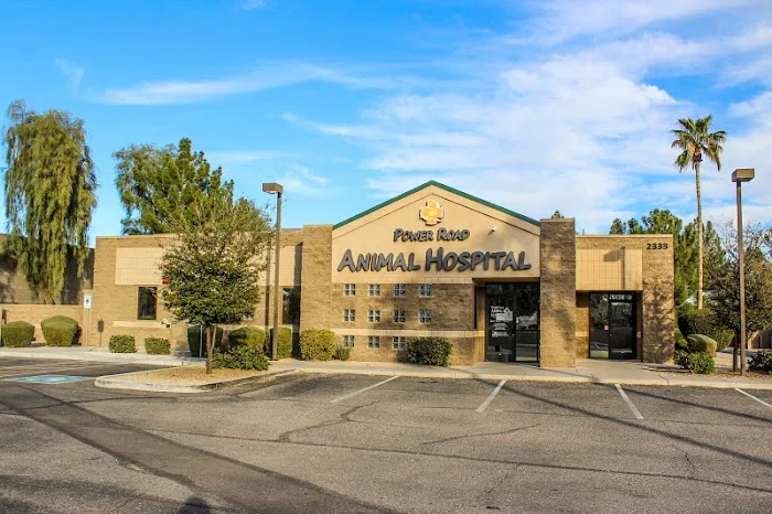 Power Road Animal Hospital Picture 9