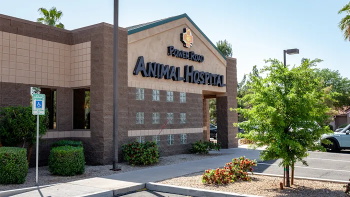 Power Road Animal Hospital Picture 4