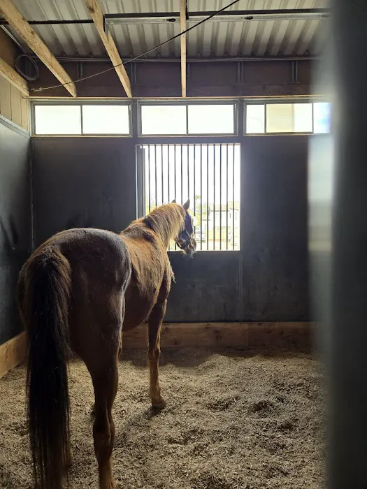 Southwest Equine Veterinary Clinic Picture 3