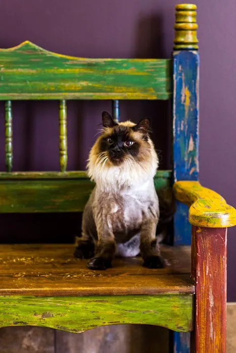 Dynamite Animal Hospital Picture 1