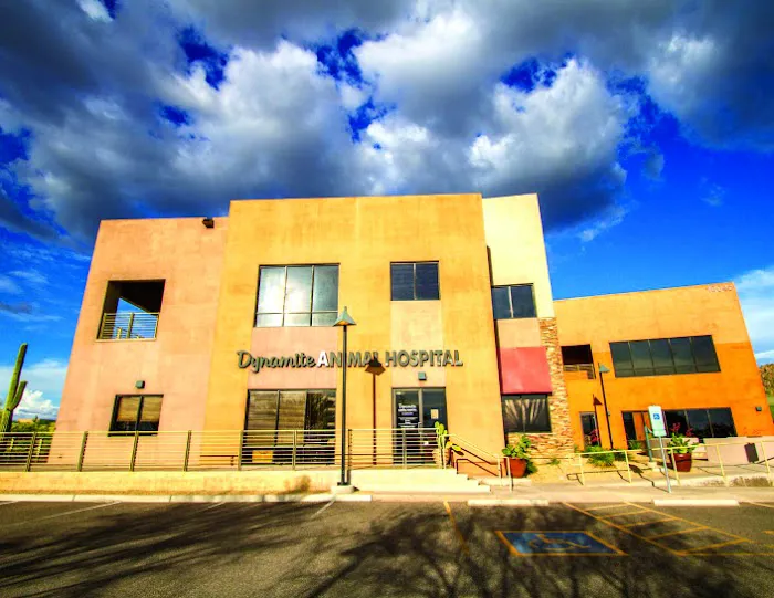 Dynamite Animal Hospital Picture 6