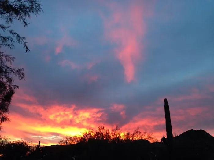 Arizona Animal Hospital Picture 6