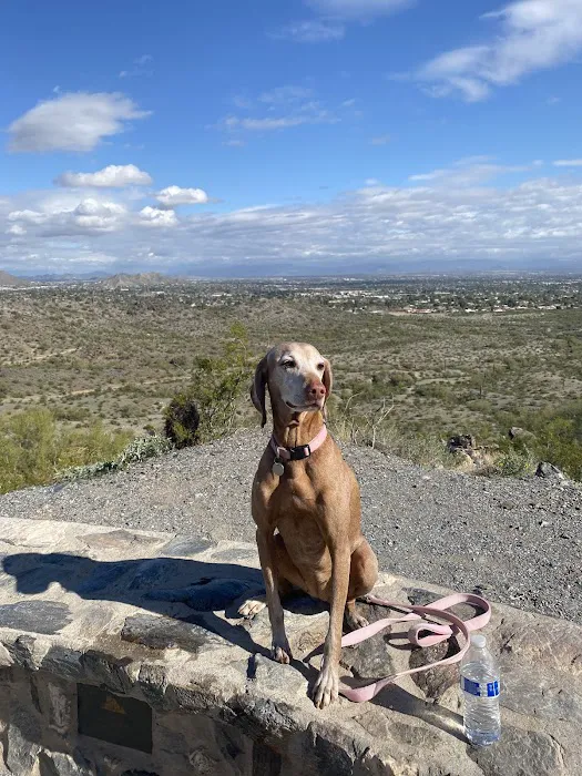 Arizona Animal Hospital Picture 1