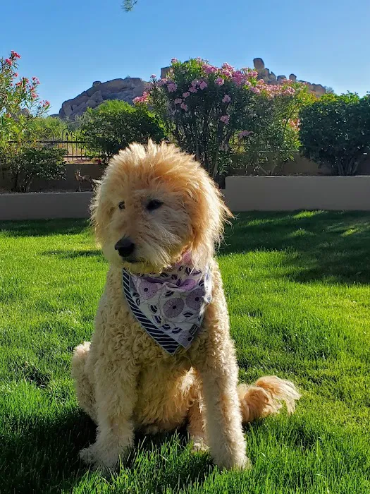 Arizona Animal Hospital Picture 8
