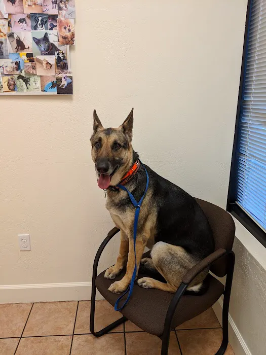 Dynamite Creek Animal Hospital Picture 1