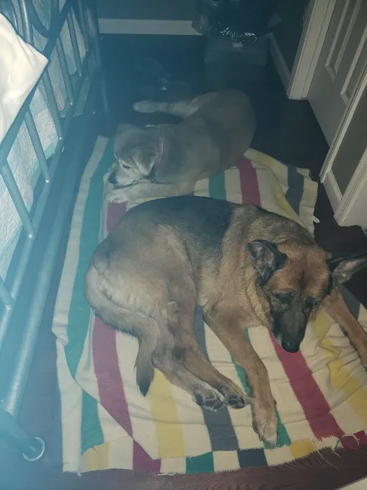 Dynamite Creek Animal Hospital Picture 9