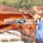 Sorum Veterinary Services