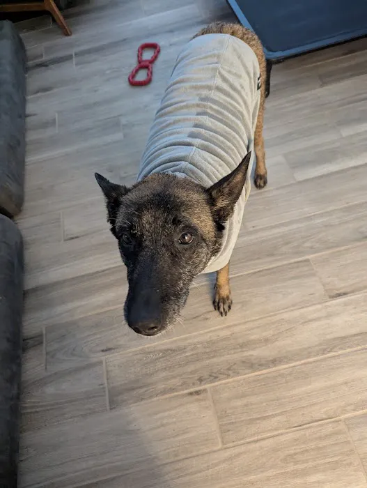 Rio Verde Animal Hospital Picture 10