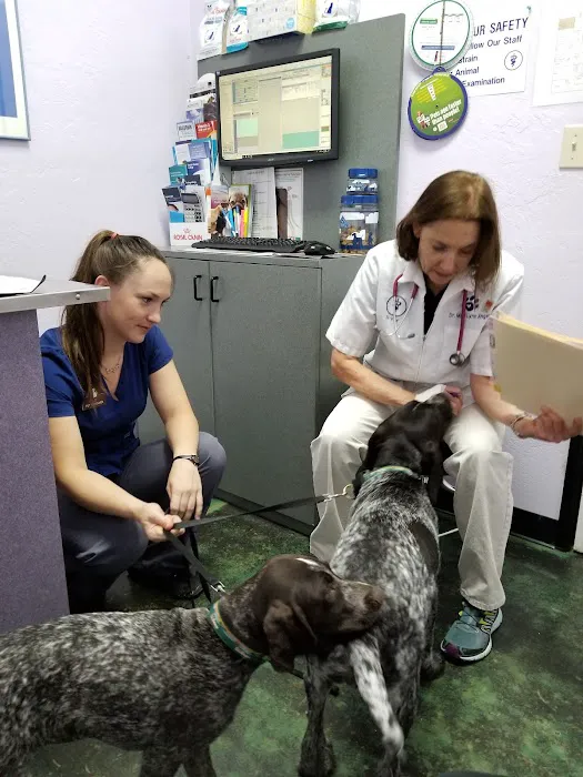 Animal Hospital At Tatum Ranch Picture 7