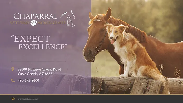 Chaparral Veterinary Medical Center Picture 3