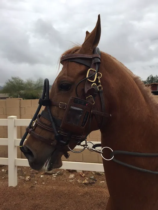 Chaparral Veterinary Medical Center Picture 2
