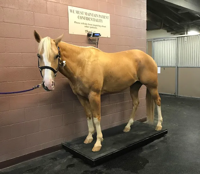 Chaparral Veterinary Medical Center Picture 5