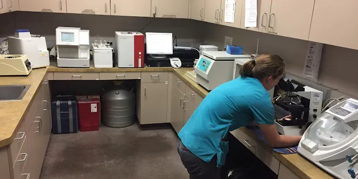 Chaparral Veterinary Medical Center Picture 1