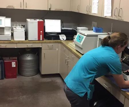 Chaparral Veterinary Medical Center
