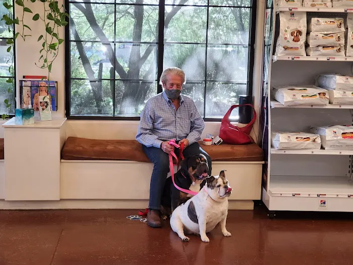 Animal Health Services of Cave Creek Picture 10