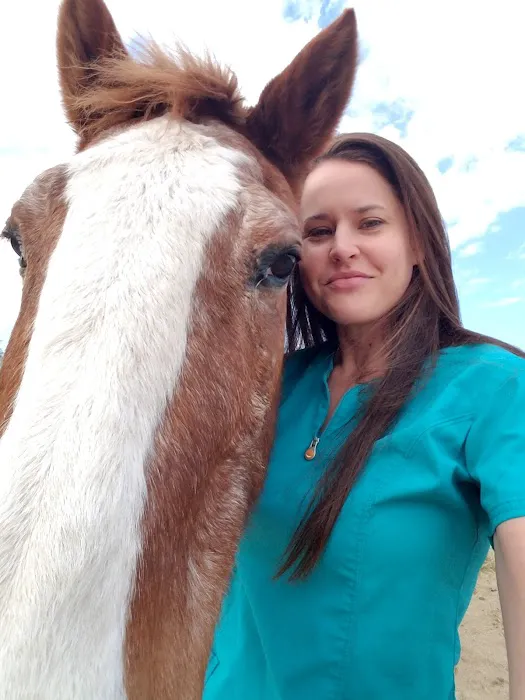 Desert Forest Animal Hospital Picture 7