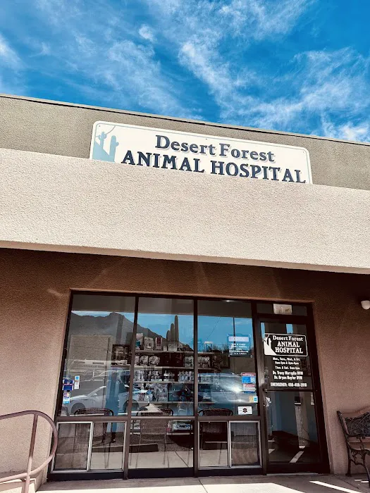 Desert Forest Animal Hospital Picture 5