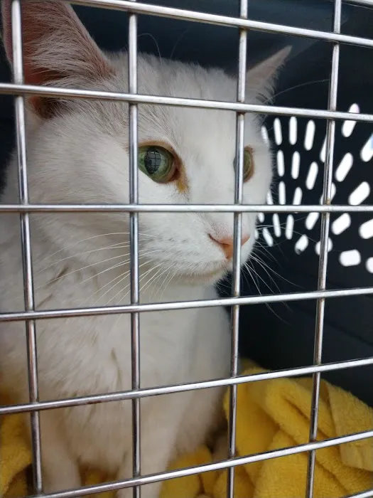 Animal House Veterinary Clinic Picture 2
