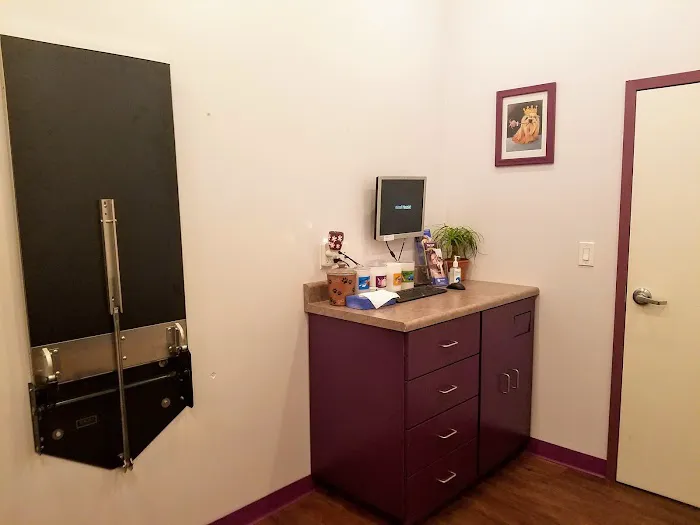 Animal House Veterinary Clinic Picture 9