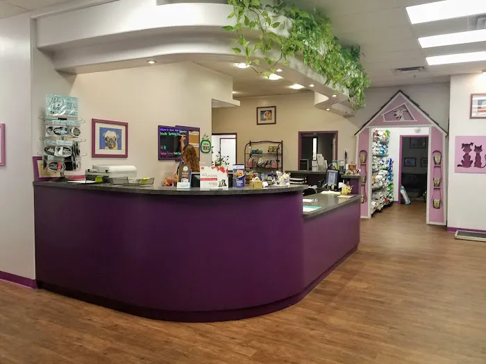 Animal House Veterinary Clinic Picture 7