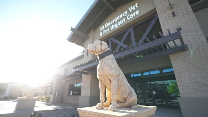 Gilbert Queen Creek Emergency Veterinarian & Pet Urgent Care Picture 9