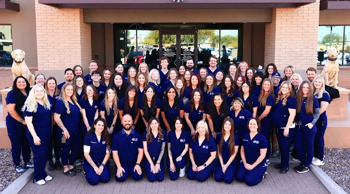 Gilbert Queen Creek Emergency Veterinarian & Pet Urgent Care Picture 10