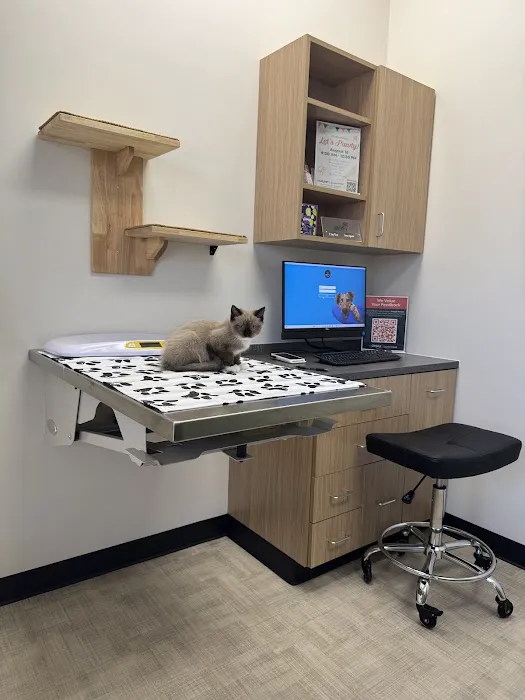 CityVet | Queen Creek Picture 8