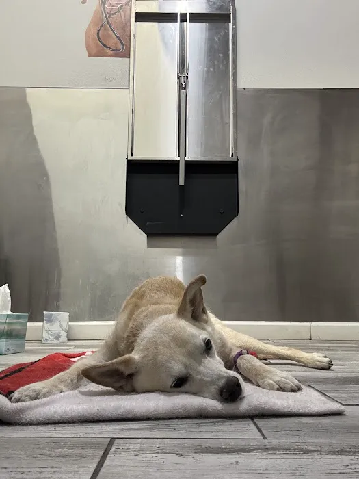 Compassionate Animal Care Picture 6