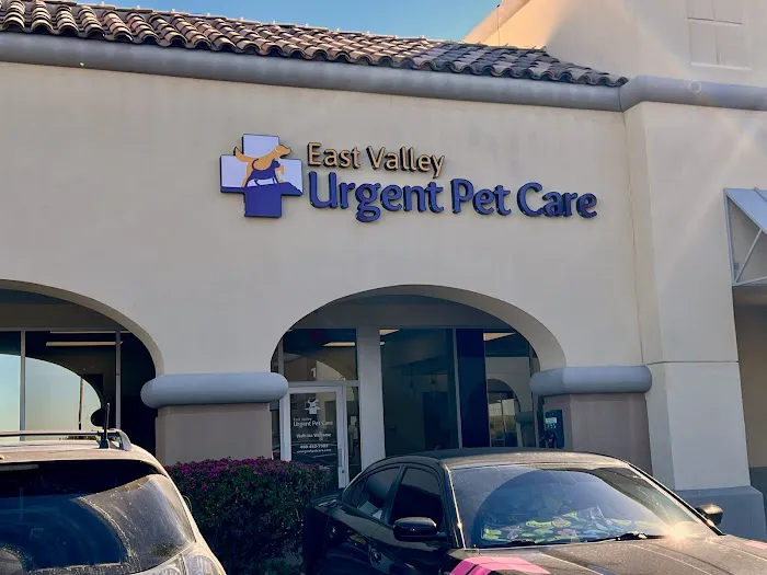 East Valley Urgent Pet Care Picture 7