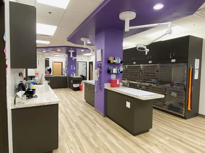 East Valley Urgent Pet Care Picture 6