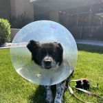 Dr. Kelly's Surgical Unit - East Mesa