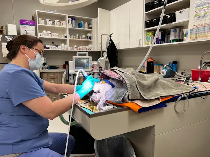 Dr. Kelly's Surgical Unit - East Mesa Picture 5