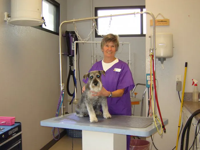 VCA Apache Junction Animal Hospital Picture 2