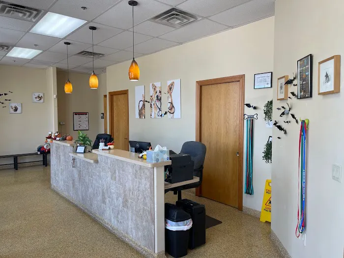 Low Cost Veterinary Surgery Clinic of Mesa Picture 2