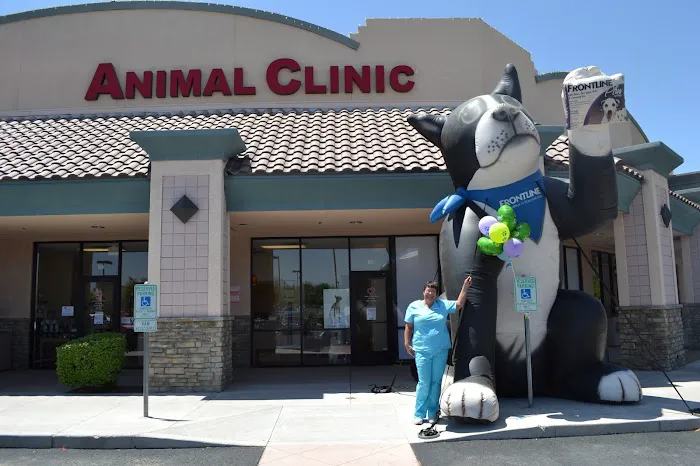 Low Cost Veterinary Surgery Clinic of Mesa Picture 10