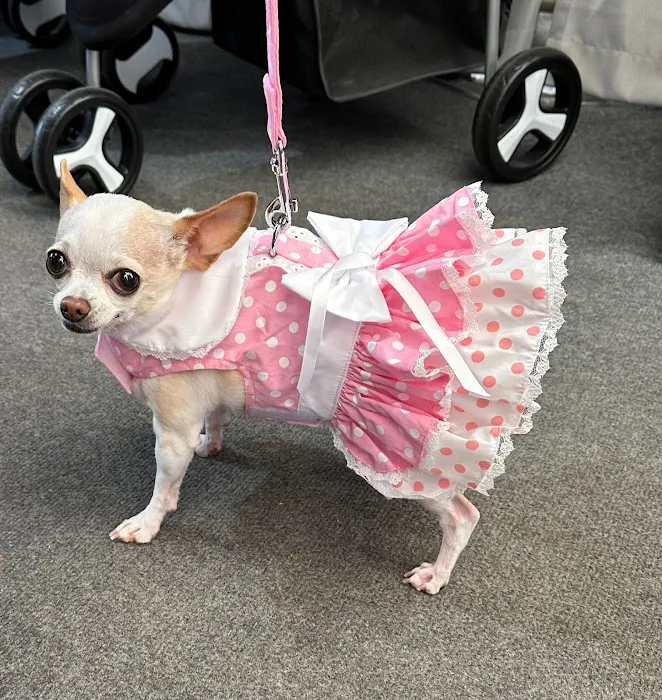 DESERT PAMPERED PETS Picture 7